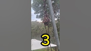 Seeing Faces in Everyday Objects - Part 15 #pareidolia #shortvideo