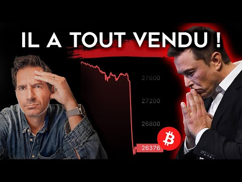 Vidéo: Que dit Elon Musk à propos du Bitcoin ?