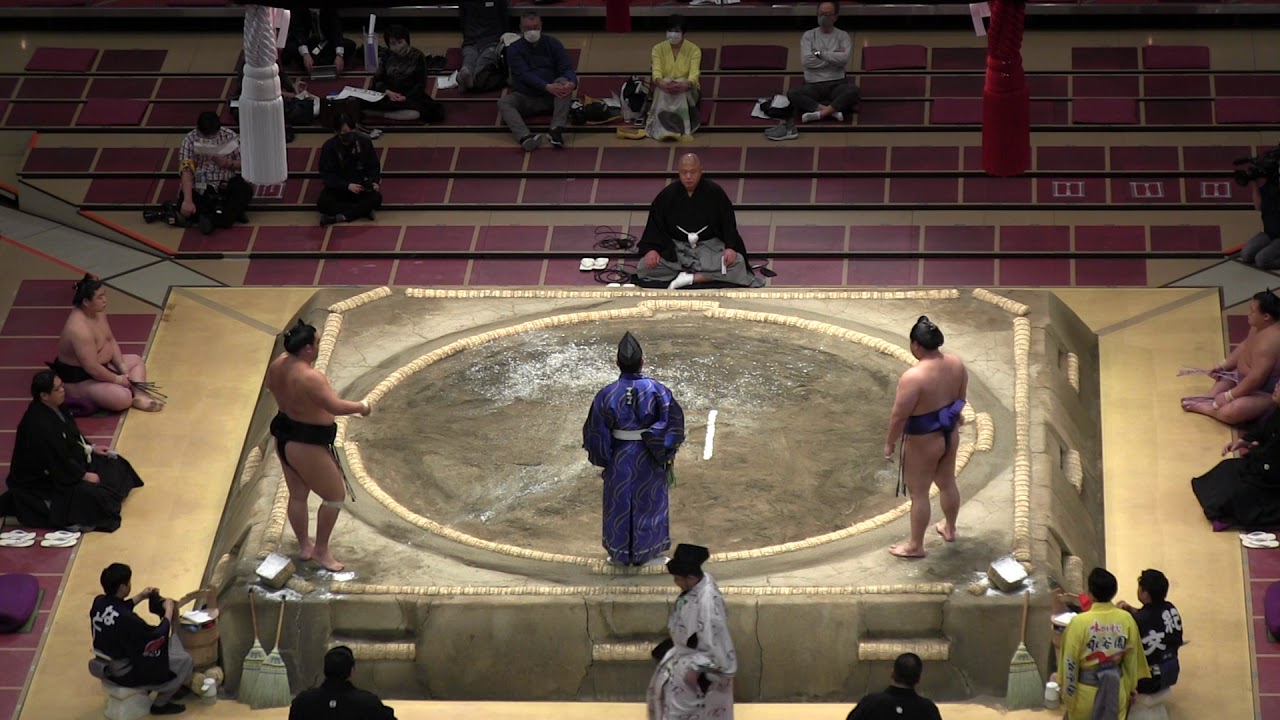 服部桜チャンネル Sumo Samurai Hattorizakura Youtube網紅頻道詳情與完整數據分析報告 Noxinfluencer提供支持