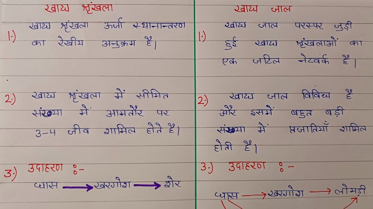 khadya shrinkhala aur khadya jaal mein antar | khadya shrinkhala aur ...