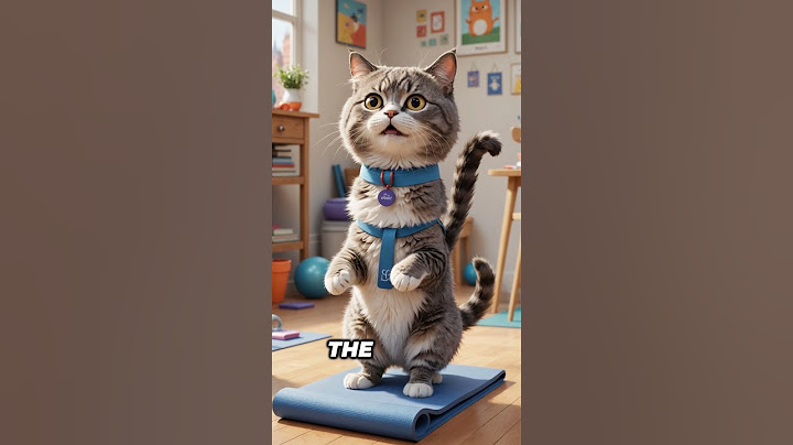 Cat's Chaotic Yoga Class 😂