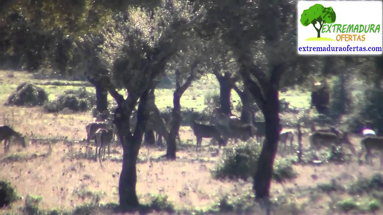 Finca La Raposera A una semana de la Montería