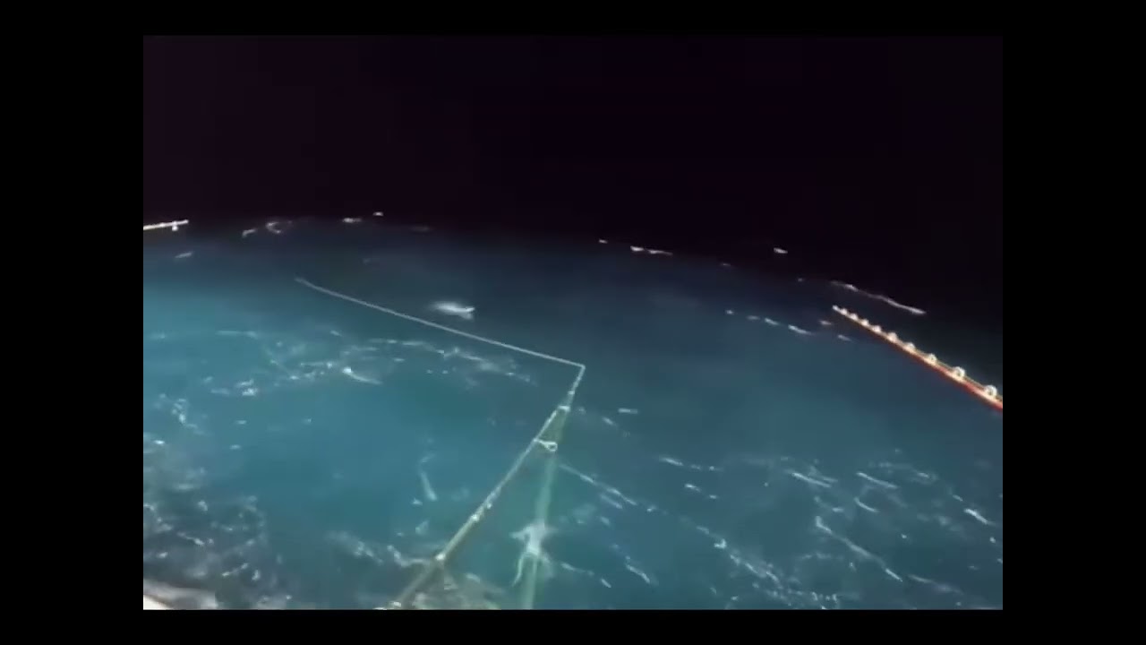 Fisherman gets hit by flying fish