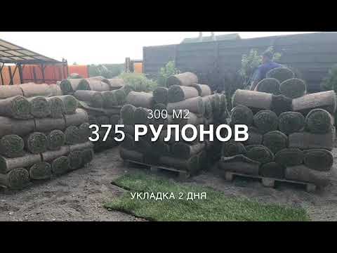Рулонный газон