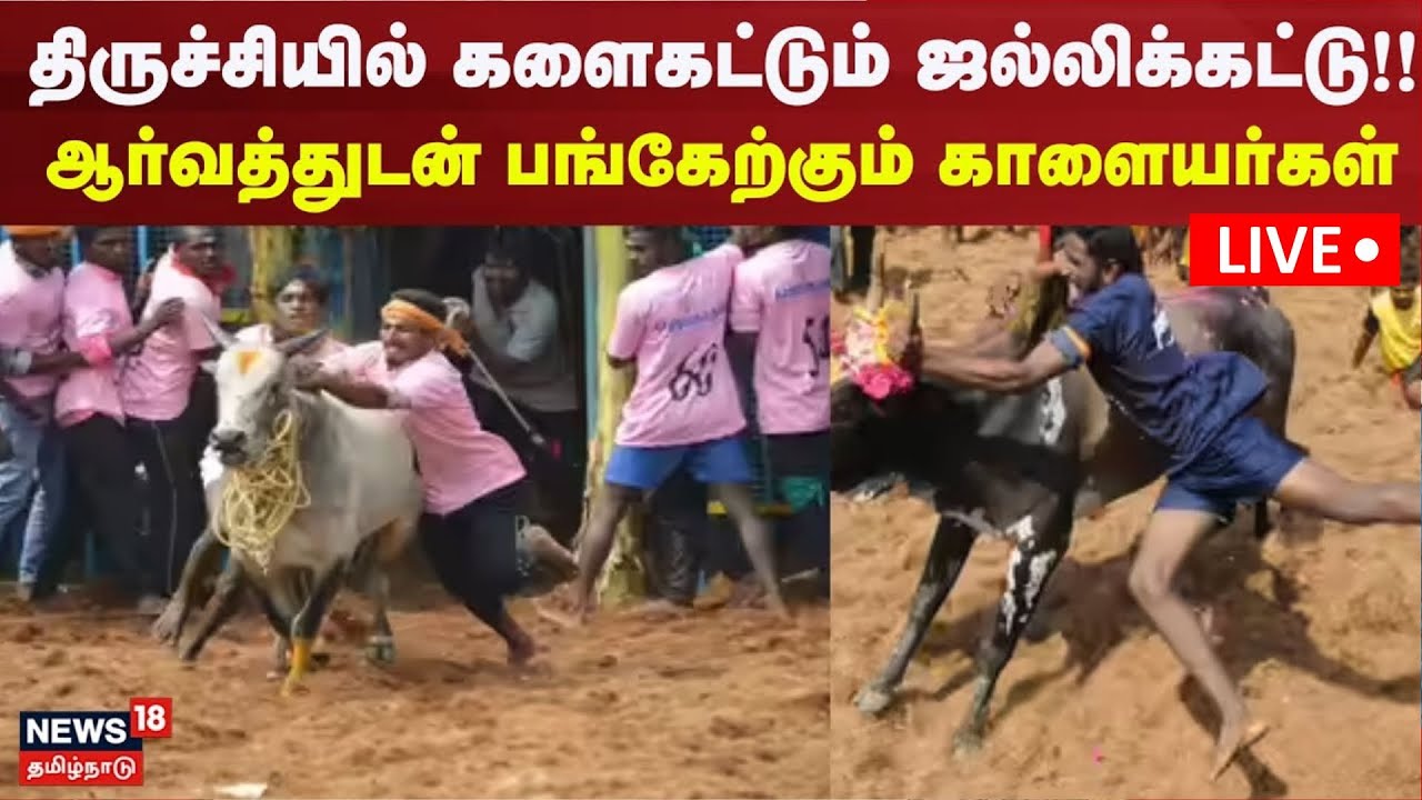 🔴Trichy Jallikattu LIVE | திருச்சியில் களைகட்டும் ஜல்லிக்கட்டு!! -ஆர்வத்துடன் பங்கேற்கும் காளையர்கள்