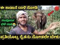 Wild elephant attack in karnataka villagetree house camping in whole night