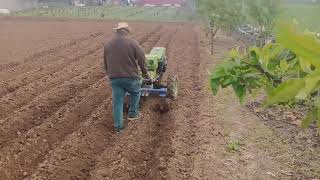 tractorino: trabajando con un viejo cultivador aporcador.