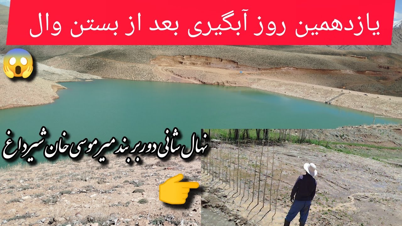 نهال شانی اطراف بند میر موسی خان شیرداغ #malistan #jaghori - YouTube