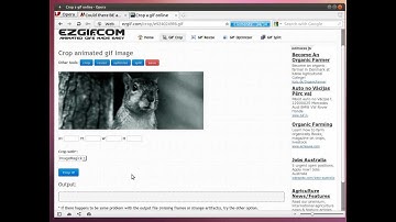How to crop and resize animated gif image