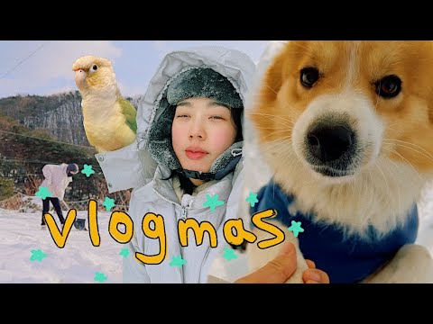 2022 #Vlogmas 19 l 또눈❄️ I 보일러 고장🤯 I 겨울 산책 I 시골 집순이 I 김갈릭