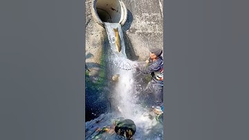 Cá Lớn - hứng Cá Chép Khủng rơi khỏi cống 😱 #khacthuyvlogg