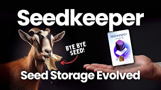 The Seedkeeper: Seed Phrase Storage Evolved