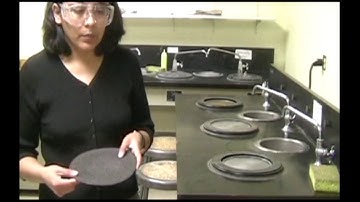 How to Grind and Polish a Metallographic Sample - NMT Materials Dept.