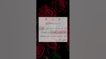 سورة الفيل بصوت سعد الغامدي
