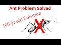 How to Get Rid of Ants