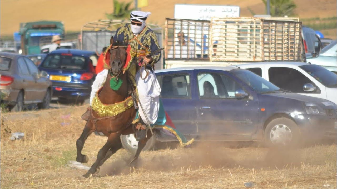 عرس سدراتة فرسان مرسط والكويف وسدراتة وتاورة ورقوبة وسوق اهراس وبريش وبئرالذهبV02