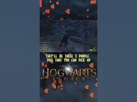 Easy Xp & Money Hogwarts Legacy #Shorts #Hogwarts #legacy