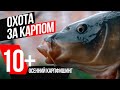 ОХОТА за КАРПОМ 10+! 🍁 РЫБАЛКА ОСЕНЬЮ на ПЛАТНОМ городском ПРУДУ!