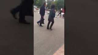 Вот такие приколы по пути на работу! Вот такие приколы по пути на работу!
