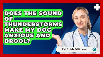 Does The Sound Of Thunderstorms Make My Dog Anxious And Drool? - PetGuide360.com