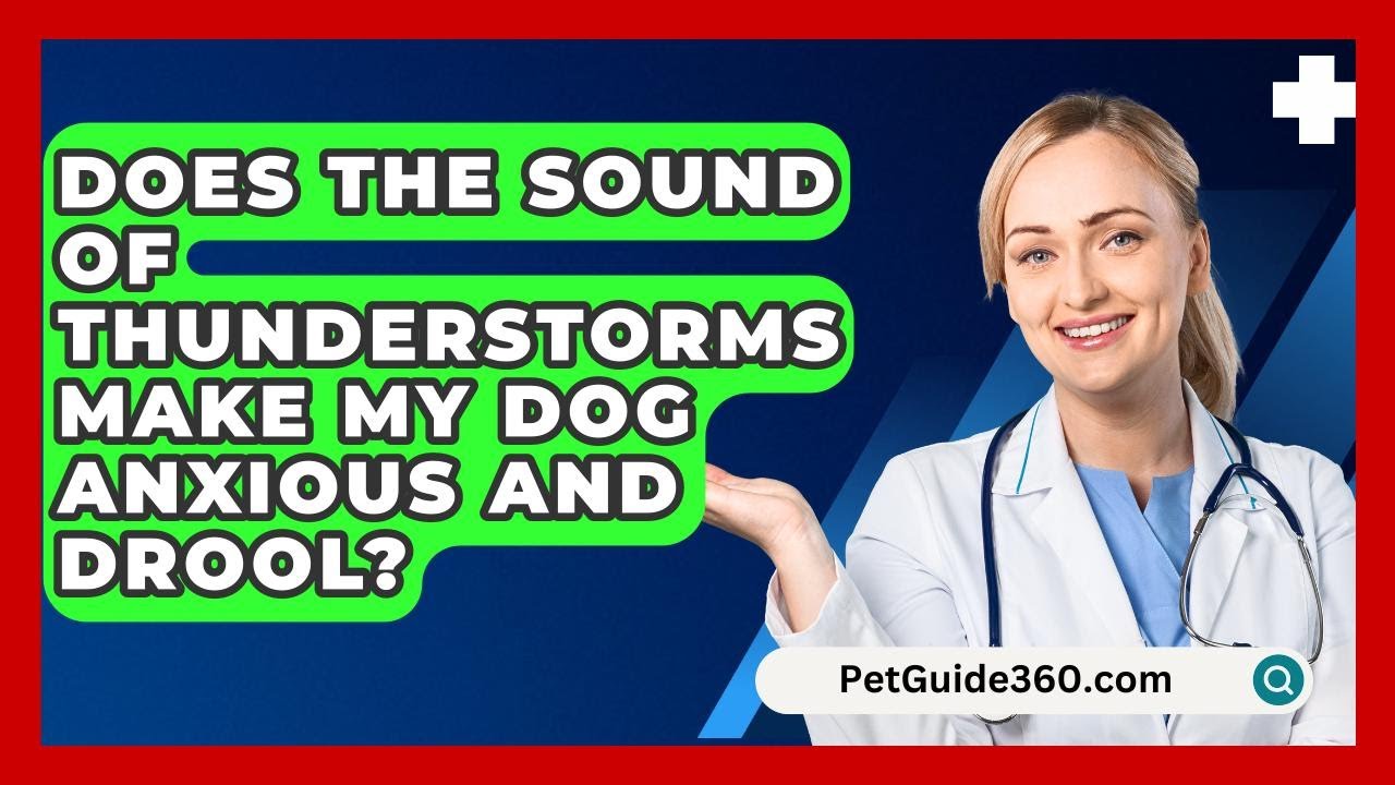 Does The Sound Of Thunderstorms Make My Dog Anxious And Drool? - PetGuide360.com