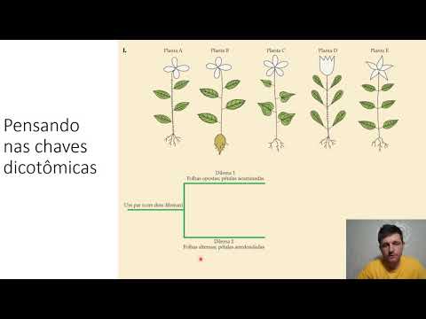Vídeo: O que é uma chave dicotômica taxonômica como uma é criada?