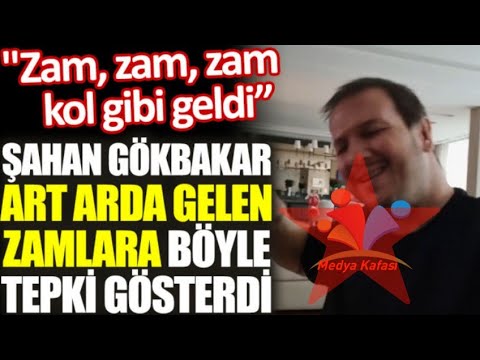 Şahan Gökbakar art