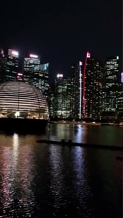 Singapore night life #sg #singapore #singaporeffshortvideo #sgorts #indian #travel
