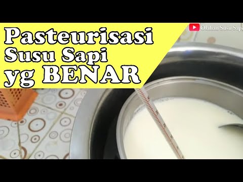 Video: Cara Memukul Putih Telur: 6 Langkah (dengan Gambar)