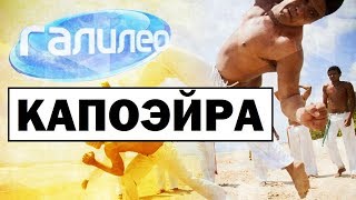 Галилео | Капоэйра 🥋 Capoeira