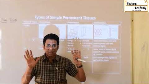 Std IX _Maharashtra Board_Science_Chapter 17_Lecture 7 Simple Permanent Tissue