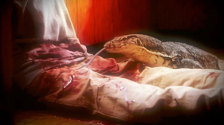 Monitor Lizards Eats Owner | Monster Week