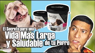 ¡Revelado! El Secreto para una Vida Más Larga y Saludable de tu Perro con BioproLife – by La Ruta Bulls 684 views 1 month ago 31 minutes