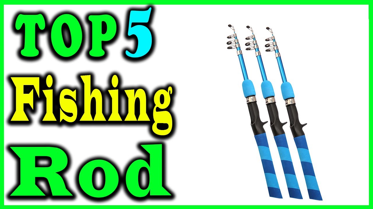 5 Best Fishing Rod Review 2024 - YouTube