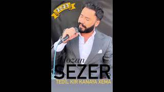 HOZAN SEZER LE LE YARAMN  soz muzik warhel raşit.            yeni 2023________ Resimi