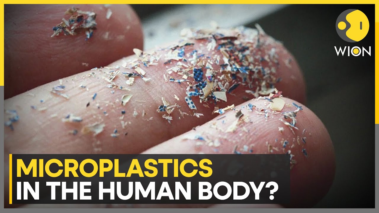 Study finds evidence of microplastics inside human body | Latest English News | WION