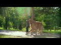 DOG + Smooth Slow Motion