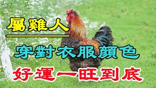 【生肖雞穿衣風水講究】屬雞人穿對衣服顔色大吉大利好運會一旺到底