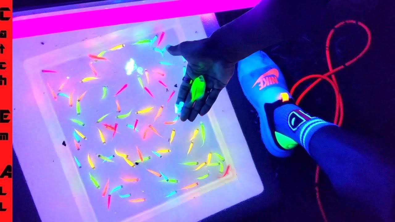 GLOW FISH Pond EXPERIMENT! YouTube