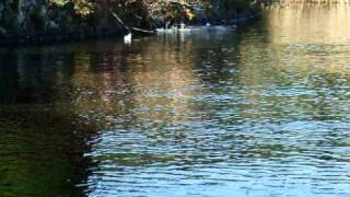 20101103 芦ノ湖演習 その3 飛龍遭難