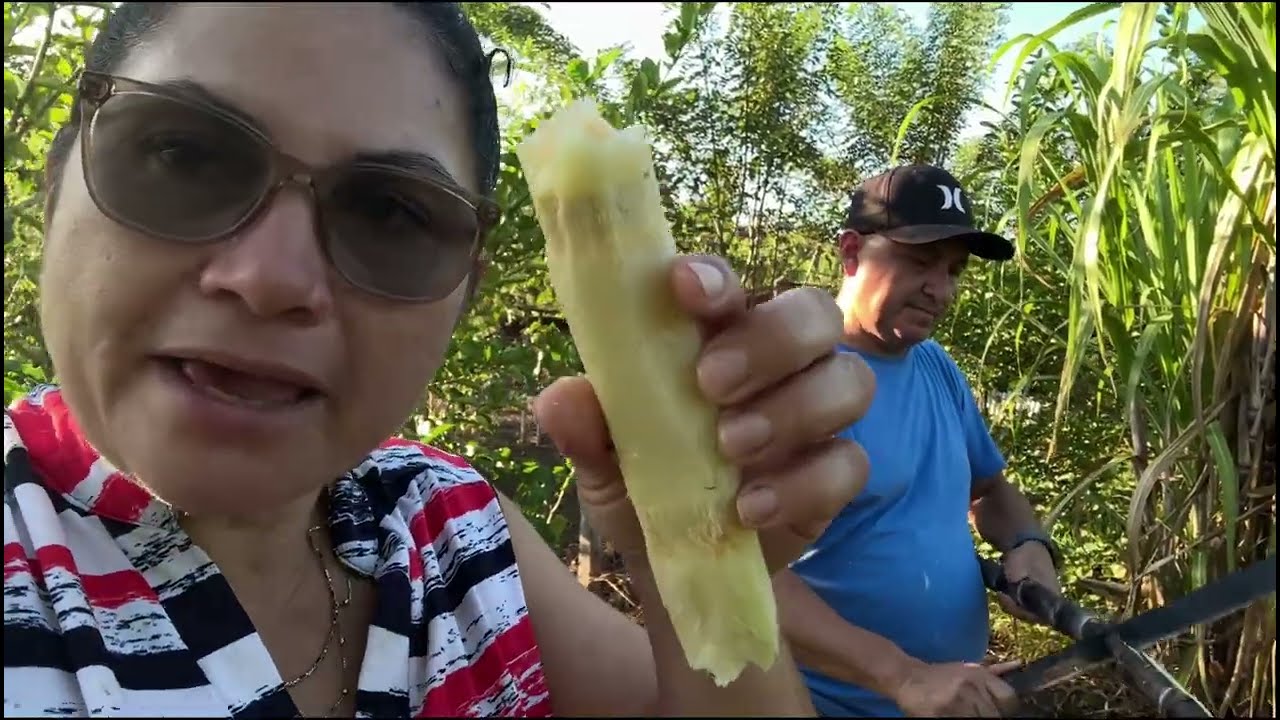 Cuando uno quiere algo solo va y corta que viva el campo 🫣🫣👍👍