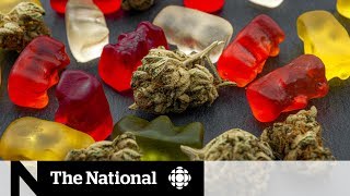 Miami Heat player’s edibles incident serves as a cautionary tale