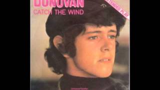 Miniatura del video "Donovan- Catch The Wind (Awesome old vinyl version)"