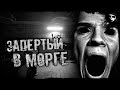 «Запертый в Морге». Страшные истории на ночь. Жуткие истории. Страшилки