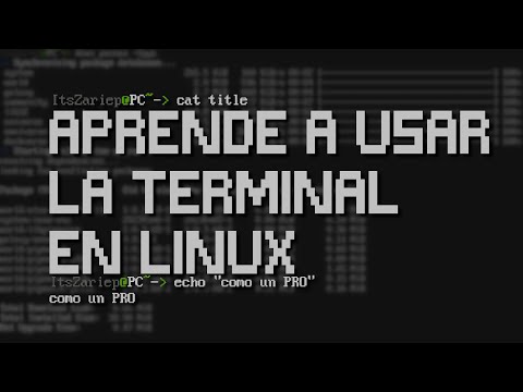 conviertete en un PRO usando la terminal en linux: introducción a la linea de comandos