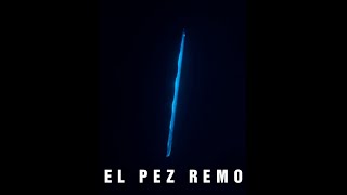 EL PEZ REMO