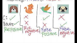 Binary Classification Example
