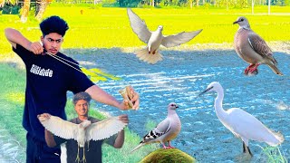 🎯 গ্রামীণ মাঠে গুলতি দিয়ে বক আর বাঘের খটকটা শিকার করার চ্যালেঞ্জ 😱#শিকারি #বক #বকপাখি #ঘুঘু #টিয়া  screenshot 4