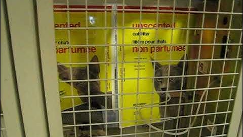 Available from Wise Packaging - Hamer 2090 form/fill/seal running 20kg bags