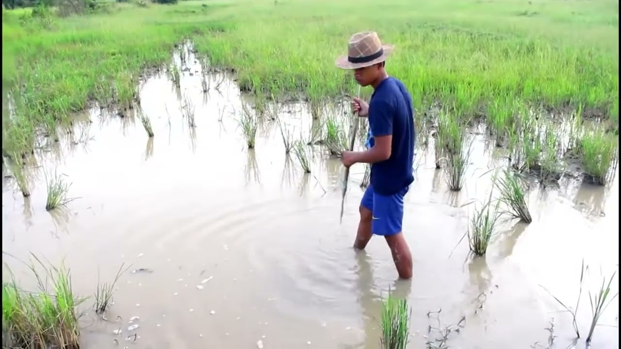 wow Amazing Fishing - Cambodia Traditional fishing - How to Catches Fish (Part 111)